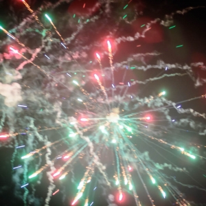 InterHuerto - 2º día