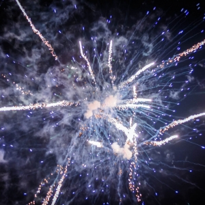 InterHuerto - 2º día