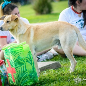 InterHuerto - 1º día