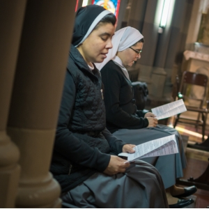 Reunión del Equipo de CLAEG
