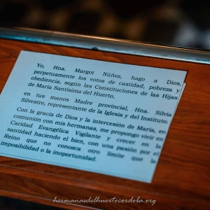 Profesión perpetua, bodas de oro y renovación de votos 2019