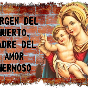 Diseños diapositivas con pensamientos de Gianelli